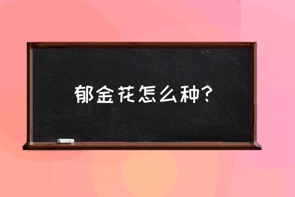 郁金花种植时间和方法 郁金花怎么种? 郁金花种植时间和方法 郁金花怎么种?