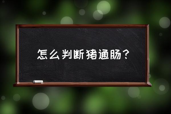 猪漏肠最简单不手术的办法 怎么判断猪通肠？