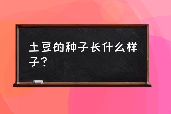 什么是有机土豆 土豆的种子长什么样子? 什么是有机土豆 土豆的种子长什么样子?