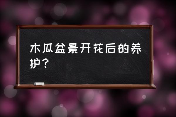 木瓜开花不结果有什么办法 木瓜盆景开花后的养护? 木瓜开花不结果有什么办法 木瓜盆景开花后的养护?