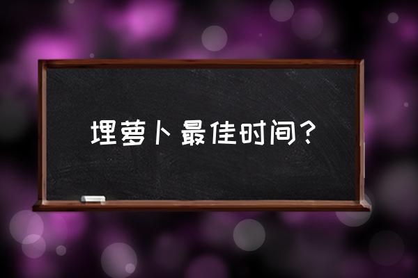 华北萝卜埋土的正确方法 埋萝卜最佳时间? 华北萝卜埋土的正确方法 埋萝卜最佳时间?
