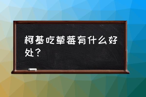 草莓药用价值和不利因素 柯基吃草莓有什么好处? 草莓药用价值和不利因素 柯基吃草莓有什么好处?