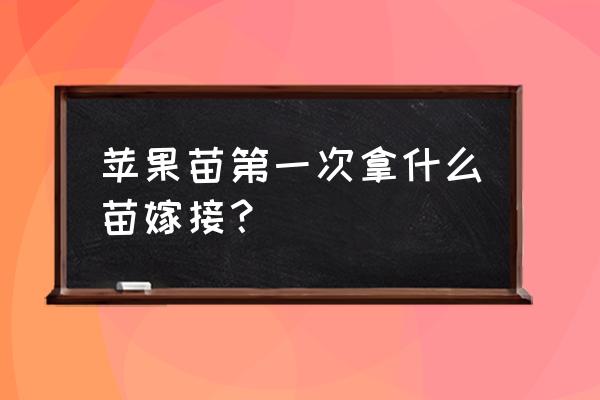 苹果怎么嫁接图片大全 苹果苗第一次拿什么苗嫁接? 苹果怎么嫁接图片大全 苹果苗第一次拿什么苗嫁接?