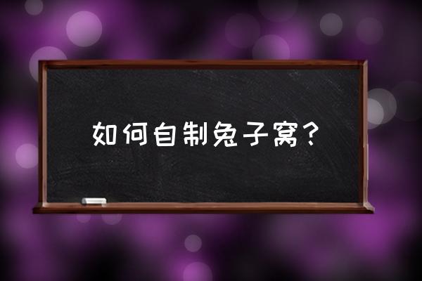 在山里怎么找到兔子窝 如何自制兔子窝? 在山里怎么找到兔子窝 如何自制兔子窝?