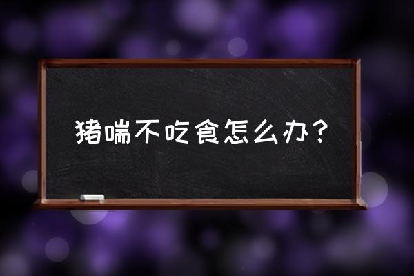 猪喘气病怎样彻底解决 猪喘不吃食怎么办? 猪喘气病怎样彻底解决 猪喘不吃食怎么办?