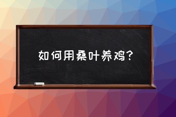 广州农科院桑葚汁 如何用桑叶养鸡? 广州农科院桑葚汁 如何用桑叶养鸡?
