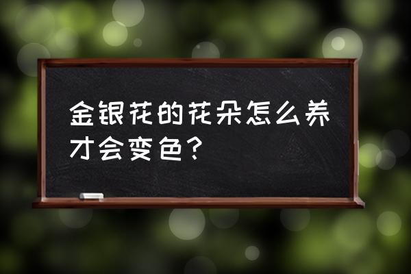 金银花怎样养才能长得高 金银花的花朵怎么养才会变色? 金银花怎样养才能长得高 金银花的花朵怎么养才会变色?