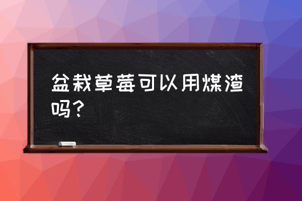 草莓盆栽的养殖方法和注意事项 盆栽草莓可以用煤渣吗? 草莓盆栽的养殖方法和注意事项 盆栽草莓可以用煤渣吗?