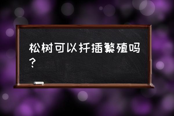 松树嫁接的最佳时期 松树可以扦插繁殖吗? 松树嫁接的最佳时期 松树可以扦插繁殖吗?