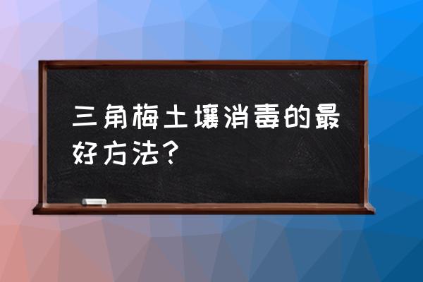 一般怎样给土壤杀菌 三角梅土壤消毒的最好方法? 一般怎样给土壤杀菌 三角梅土壤消毒的最好方法?
