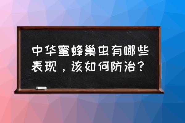 百部种植技术全过程 中华蜜蜂巢虫有哪些表现,该如何防治? 百部种植技术全过程 中华蜜蜂巢虫有哪些表现,该如何防治?