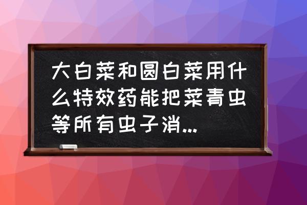 怎样才能除掉白菜上的虫子 大白菜和圆白菜用什么特效药能把菜青虫等所有虫子消灭,用5%阿维菌素打不死? 怎样才能除掉白菜上的虫子 大白菜和圆白菜用什么特效药能把菜青虫等所有虫子消灭,用5%阿维菌素打不死?