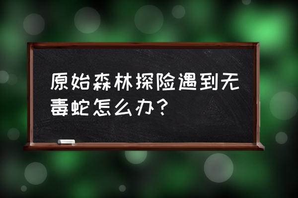 去原始森林探险需要准备什么东西 原始森林探险遇到无毒蛇怎么办? 去原始森林探险需要准备什么东西 原始森林探险遇到无毒蛇怎么办?
