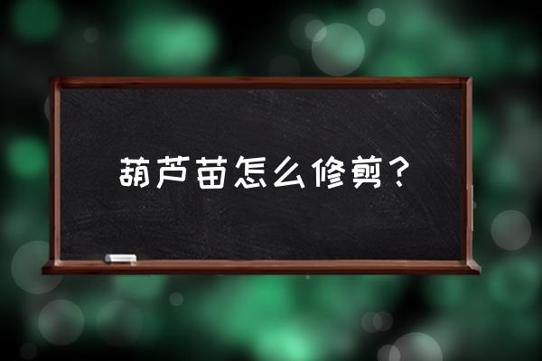 葫芦苗用不用打尖 葫芦苗怎么修剪? 葫芦苗用不用打尖 葫芦苗怎么修剪?