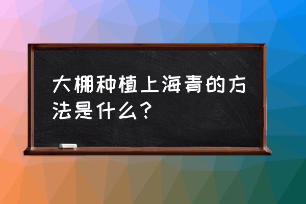 大棚夏季种小白菜的方法和步骤 大棚种植上海青的方法是什么? 大棚夏季种小白菜的方法和步骤 大棚种植上海青的方法是什么?