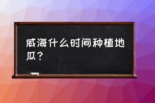 红薯土培盆栽的种植方法 威海什么时间种植地瓜? 红薯土培盆栽的种植方法 威海什么时间种植地瓜?