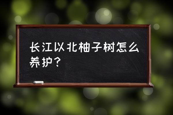 柚子树扦插多久能生根杀菌 长江以北柚子树怎么养护? 柚子树扦插多久能生根杀菌 长江以北柚子树怎么养护?