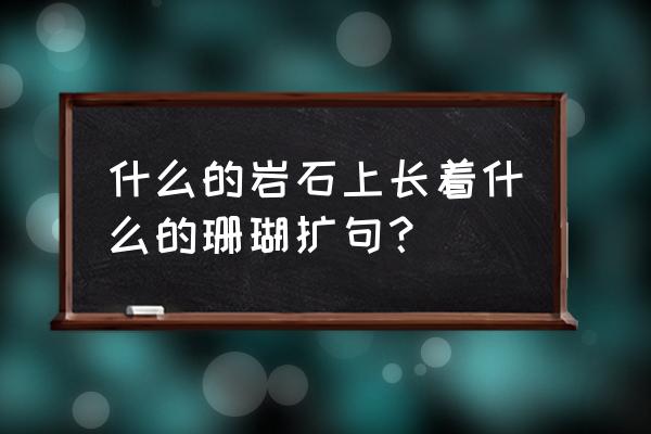岩石上生长着珊瑚可以怎样扩句 什么的岩石上长着什么的珊瑚扩句? 岩石上生长着珊瑚可以怎样扩句 什么的岩石上长着什么的珊瑚扩句?