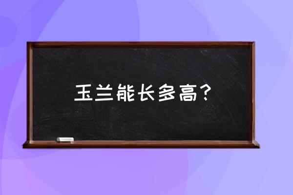 22.5公分胸径的广玉兰多少钱 玉兰能长多高? 22.5公分胸径的广玉兰多少钱 玉兰能长多高?