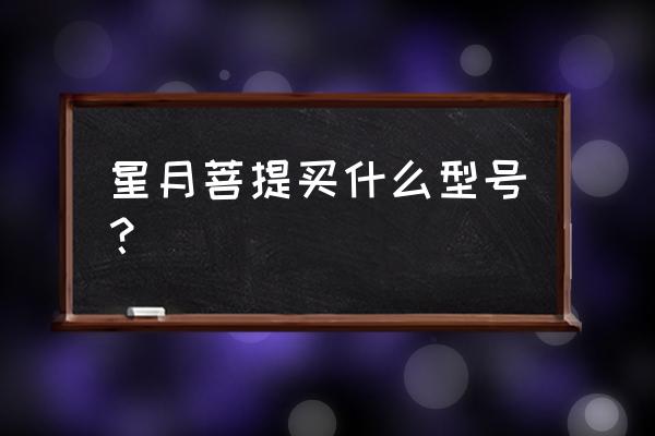 顶级星月菩提 星月菩提买什么型号? 顶级星月菩提 星月菩提买什么型号?