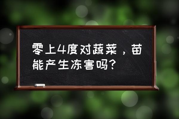 蔬菜冻害最全预防补救措施教给你 零上4度对蔬菜,苗能产生冻害吗? 蔬菜冻害最全预防补救措施教给你 零上4度对蔬菜,苗能产生冻害吗?