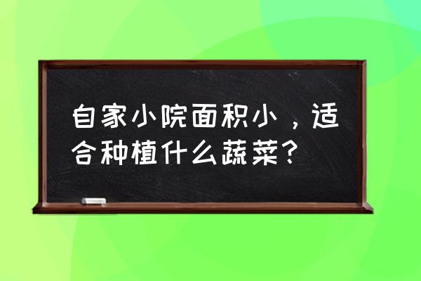 家庭盆栽蔬菜有哪些 自家小院面积小,适合种植什么蔬菜? 家庭盆栽蔬菜有哪些 自家小院面积小,适合种植什么蔬菜?