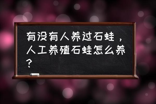 mc国际版青蛙怎么驯服 有没有人养过石蛙,人工养殖石蛙怎么养? mc国际版青蛙怎么驯服 有没有人养过石蛙,人工养殖石蛙怎么养?