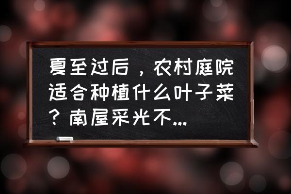 冬天南方适合种什么蔬菜耐旱 夏至过后,农村庭院适合种植什么叶子菜?南屋采光不好,怎么解决? 冬天南方适合种什么蔬菜耐旱 夏至过后,农村庭院适合种植什么叶子菜?南屋采光不好,怎么解决?
