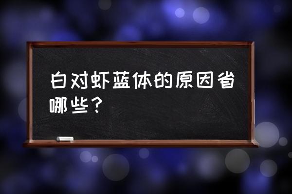 文莱白虾怎么吃 白对虾蓝体的原因省哪些? 文莱白虾怎么吃 白对虾蓝体的原因省哪些?