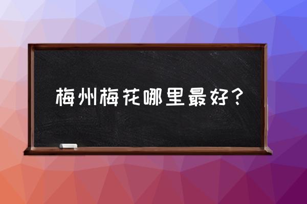 东莞梦幻百花洲购票 梅州梅花哪里最好? 东莞梦幻百花洲购票 梅州梅花哪里最好?