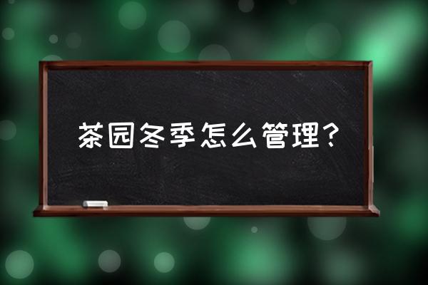 茶园病虫害防治小妙招 茶园冬季怎么管理? 茶园病虫害防治小妙招 茶园冬季怎么管理?