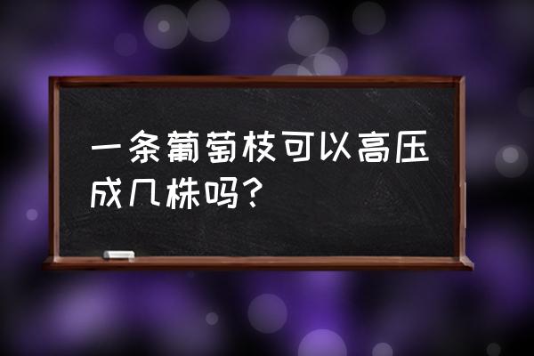 葡萄叶子连藤的画法步骤 一条葡萄枝可以高压成几株吗? 葡萄叶子连藤的画法步骤 一条葡萄枝可以高压成几株吗?