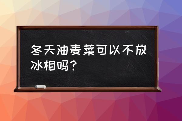 阳台种油麦菜生长过程 冬天油麦菜可以不放冰相吗? 阳台种油麦菜生长过程 冬天油麦菜可以不放冰相吗?