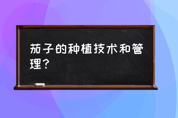 茄子能天天吃吗 茄子的种植技术和管理? 茄子能天天吃吗 茄子的种植技术和管理?