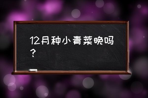 12月份露地可种植的蔬菜 12月种小青菜晚吗? 12月份露地可种植的蔬菜 12月种小青菜晚吗?