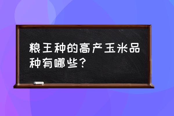 什么品种玉米夏播最高产 粮王种的高产玉米品种有哪些? 什么品种玉米夏播最高产 粮王种的高产玉米品种有哪些?