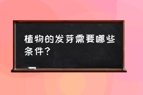 种子萌发的自身条件是哪三个 植物的发芽需要哪些条件? 种子萌发的自身条件是哪三个 植物的发芽需要哪些条件?