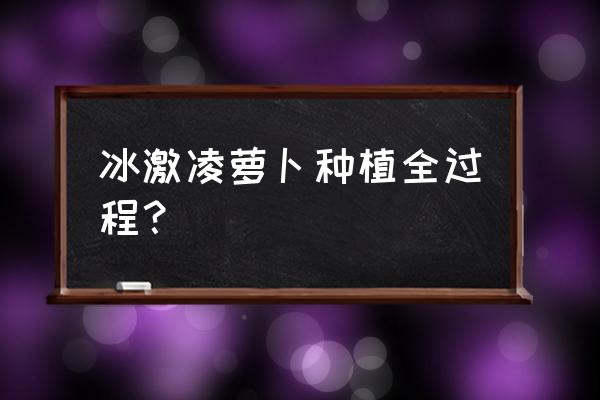 阳台萝卜种子种植方法全过程 冰激凌萝卜种植全过程? 阳台萝卜种子种植方法全过程 冰激凌萝卜种植全过程?