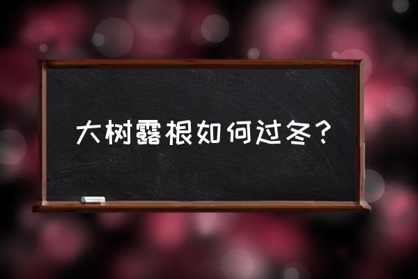 在寒冷的冬季发生日灼的原因 大树露根如何过冬? 在寒冷的冬季发生日灼的原因 大树露根如何过冬?