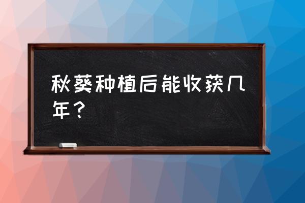 黄秋葵播种到结果需要多少天 秋葵种植后能收获几年? 黄秋葵播种到结果需要多少天 秋葵种植后能收获几年?