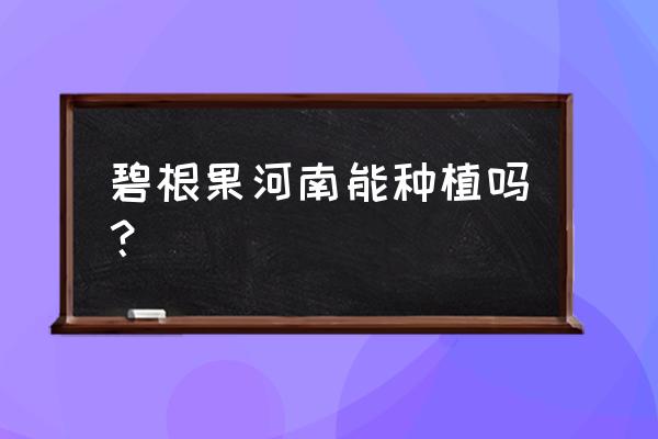 碧根果树能在北方种吗 碧根果河南能种植吗? 碧根果树能在北方种吗 碧根果河南能种植吗?