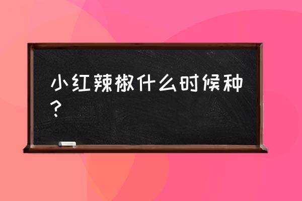 青椒育苗和栽种时间方法 小红辣椒什么时候种? 青椒育苗和栽种时间方法 小红辣椒什么时候种?