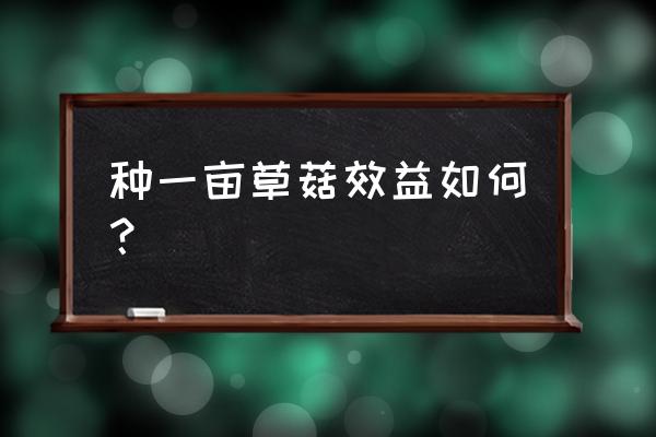 草菇菌种哪种最好 种一亩草菇效益如何? 草菇菌种哪种最好 种一亩草菇效益如何?