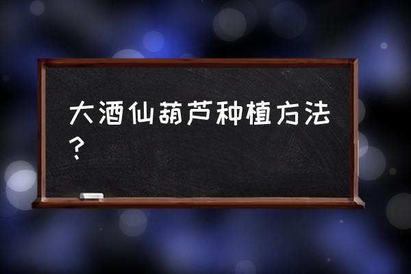 葫芦怎么种植全过程 大酒仙葫芦种植方法? 葫芦怎么种植全过程 大酒仙葫芦种植方法?