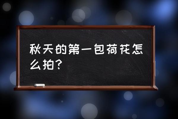 荷花拍摄技巧详细 秋天的第一包荷花怎么拍? 荷花拍摄技巧详细 秋天的第一包荷花怎么拍?