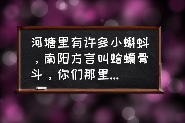 小古文猫斗的翻译及注释 河塘里有许多小蝌蚪,南阳方言叫蛤蟆骨斗,你们那里叫什么? 小古文猫斗的翻译及注释 河塘里有许多小蝌蚪,南阳方言叫蛤蟆骨斗,你们那里叫什么?