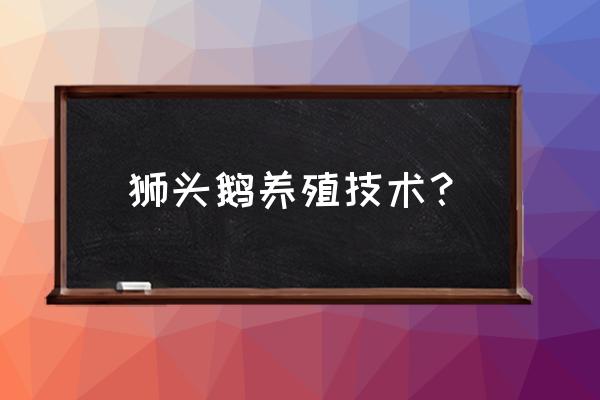 养大鹅最佳方法 狮头鹅养殖技术? 养大鹅最佳方法 狮头鹅养殖技术?