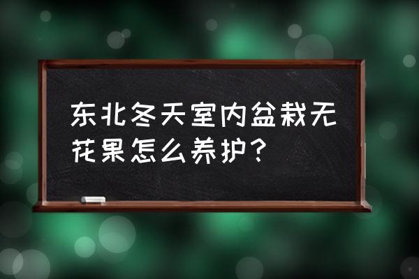 秋天的无花果怎么放冬天才好吃 东北冬天室内盆栽无花果怎么养护? 秋天的无花果怎么放冬天才好吃 东北冬天室内盆栽无花果怎么养护?
