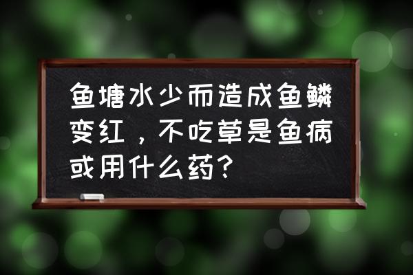 怎么判断鱼病好不好 鱼塘水少而造成鱼鳞变红,不吃草是鱼病或用什么药? 怎么判断鱼病好不好 鱼塘水少而造成鱼鳞变红,不吃草是鱼病或用什么药?