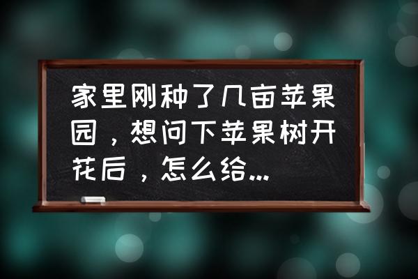苹果人工授粉的正确步骤 家里刚种了几亩苹果园,想问下苹果树开花后,怎么给苹果树授粉? 苹果人工授粉的正确步骤 家里刚种了几亩苹果园,想问下苹果树开花后,怎么给苹果树授粉?